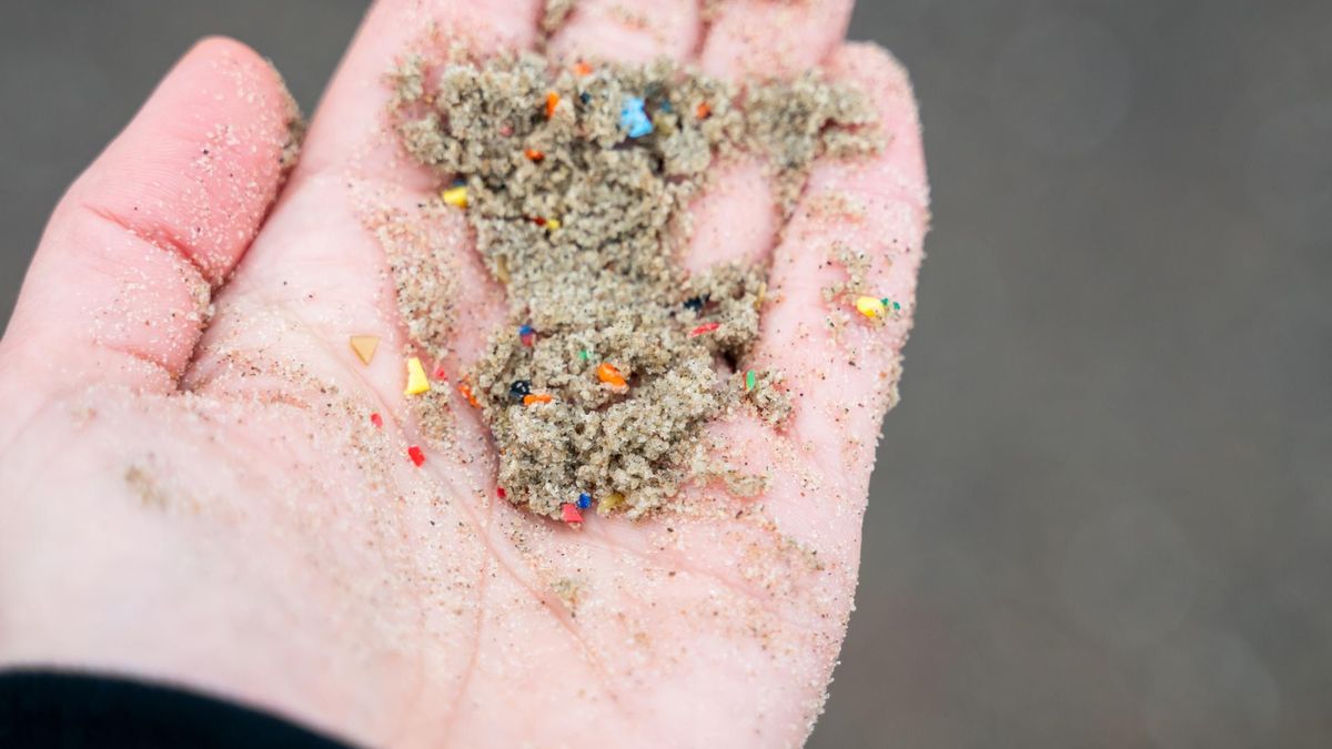 Plastikowy raj dla patogenów. Cząstki mikroplastiku zasiedlone przez antybiotykooporne bakterie