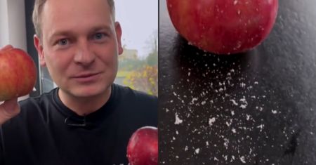 Porównał jabłko zerwane z drzewa z jabłkiem ze sklepu. Tego nikt się nie spodziewał