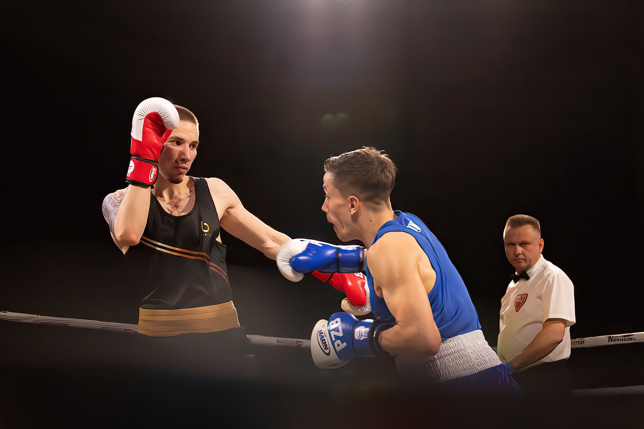 Polska Liga Boksu Pomorzanin Boxing Team - Imperium Wałbrzych