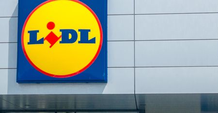 Tylko do 17 stycznia w Lidlu. Termorobot 100 zł taniej