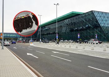 Wpadł na polskim lotnisku. Chciał przemycić 15 kg ludzkich włosów