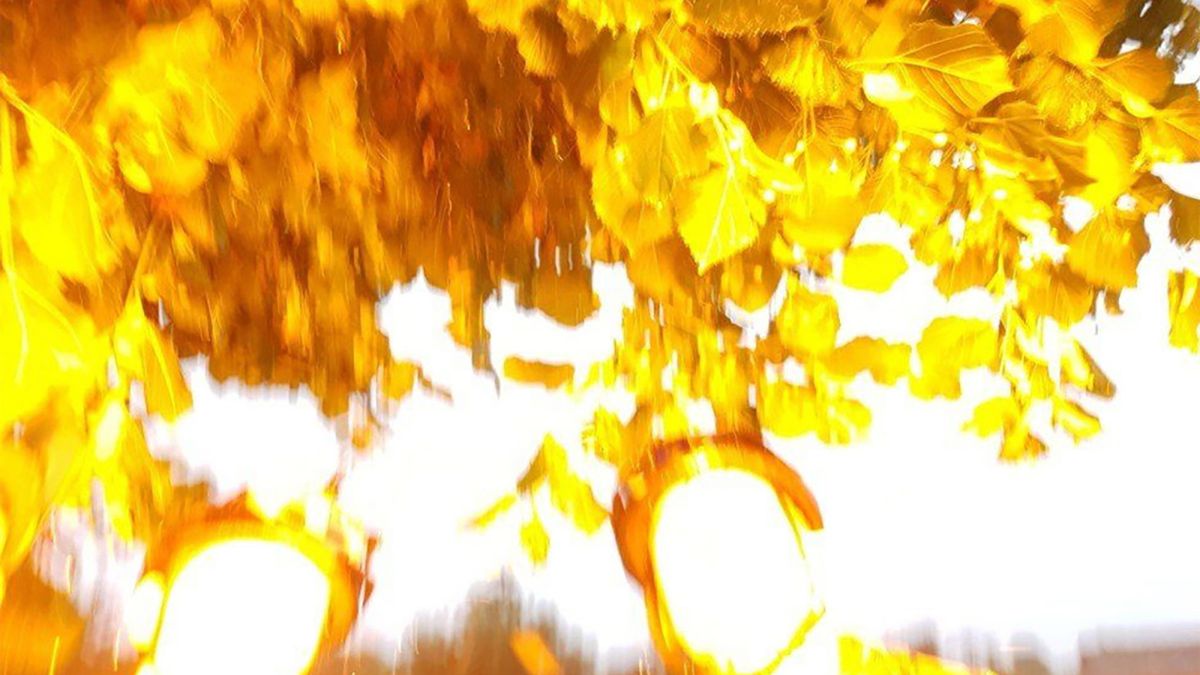 Zrobili selfie, gdy uderzył w nich piorun. To nie jest fotomontaż 1