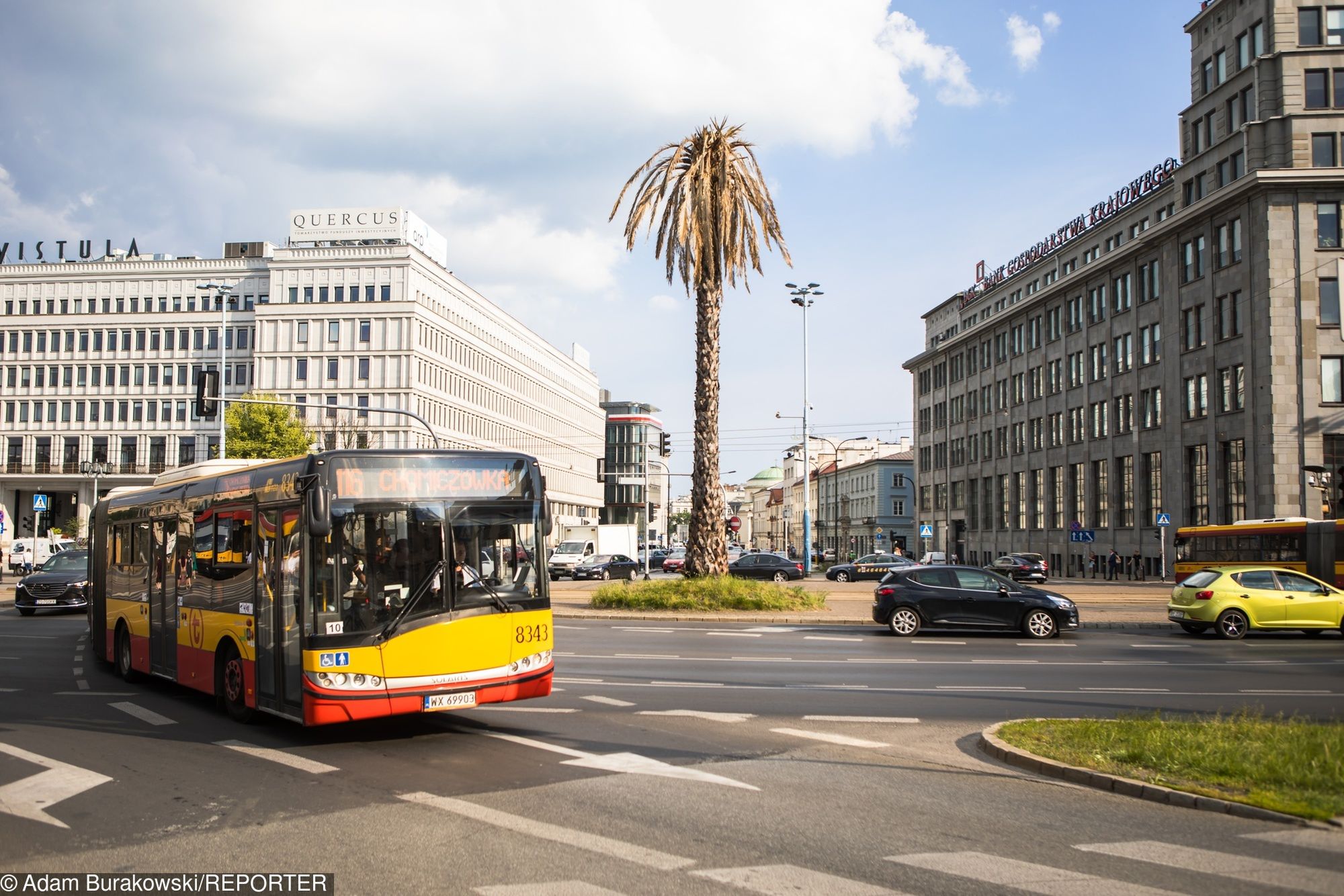 Jest palma to musi być ciepło. Proste, prawda?