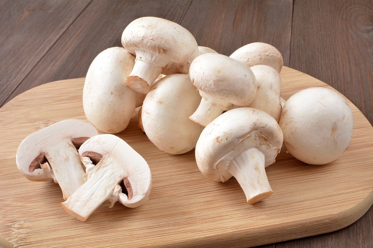 Can you eat raw mushrooms?