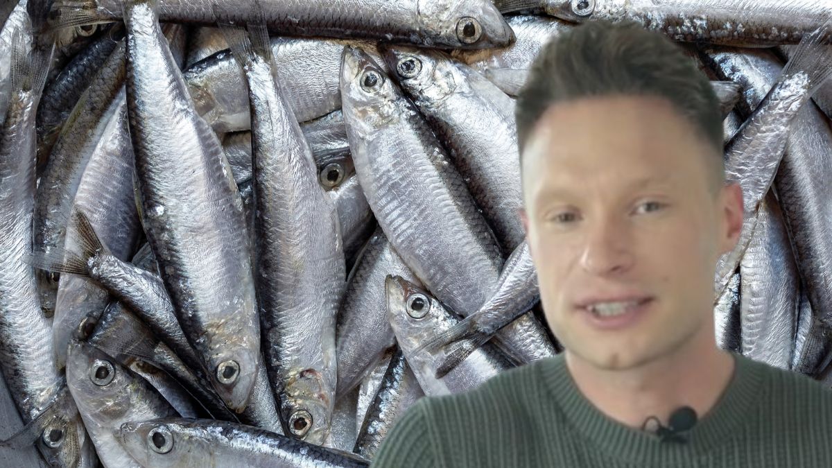 Jakie ryby poleca dr Michał Wrzosek?