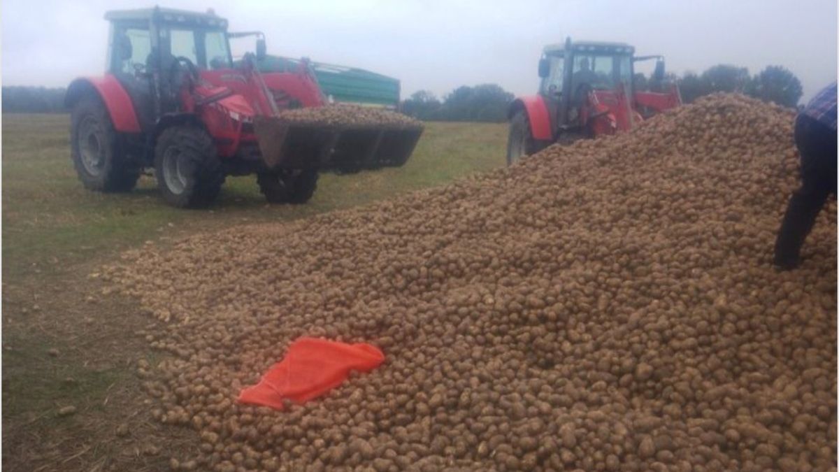 Padł ofiarą fałszywych ogłoszeń.