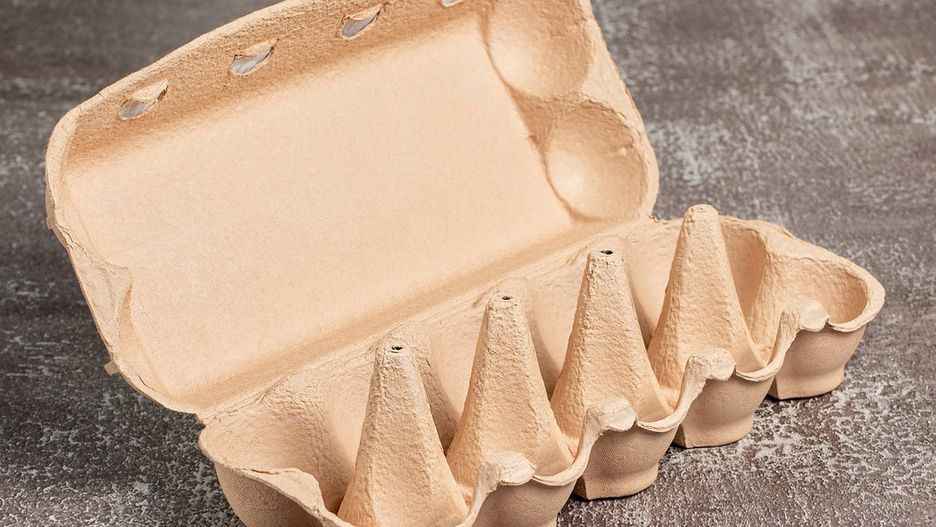 Gdzie wyrzucić wytłaczanki po jajkach? 