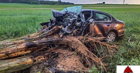 Auto z ogromną siłą wbiło się w drzewo. Nie żyje 28-latek