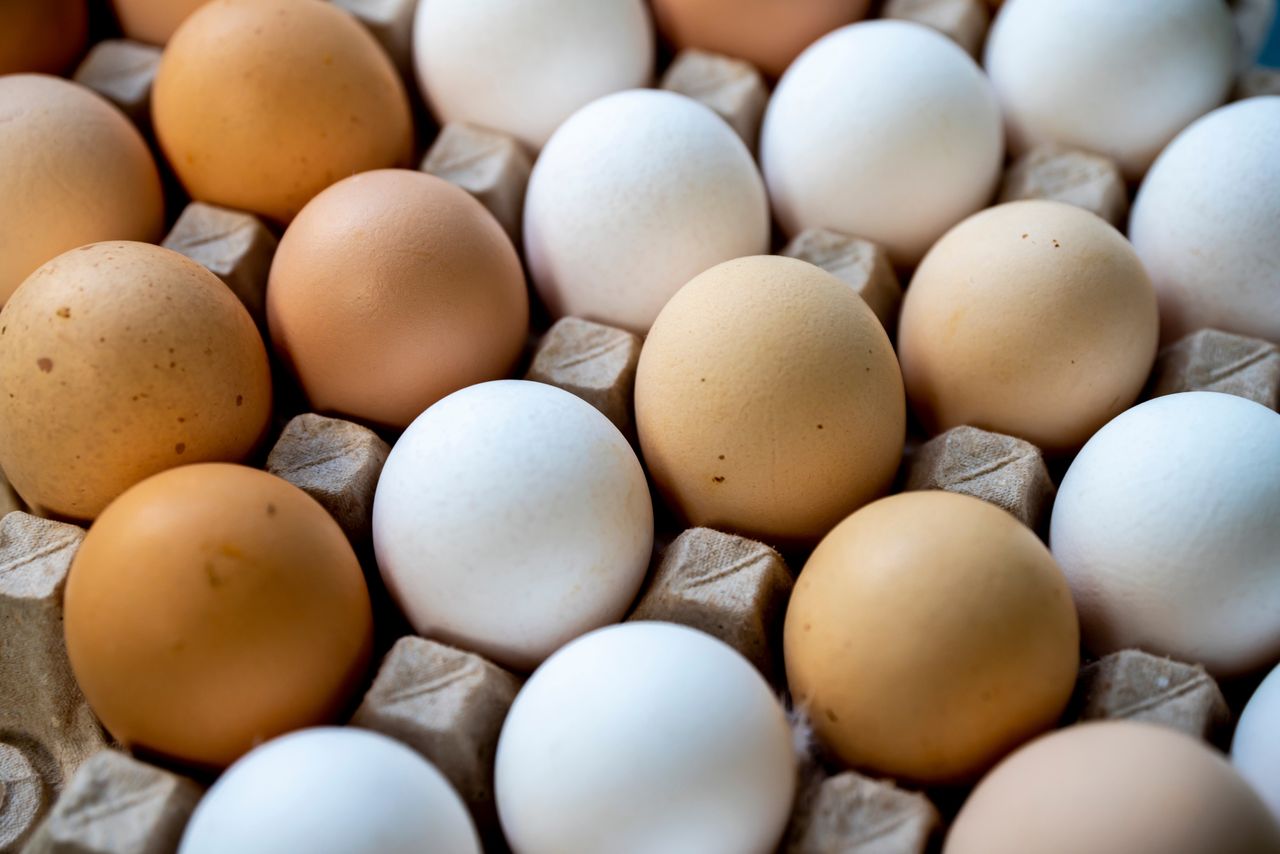 Egg color myths busted: Taste and quality secrets revealed