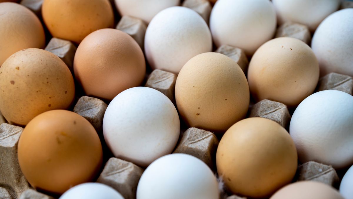 Kolor jajek nie wpływa na ich smak 
