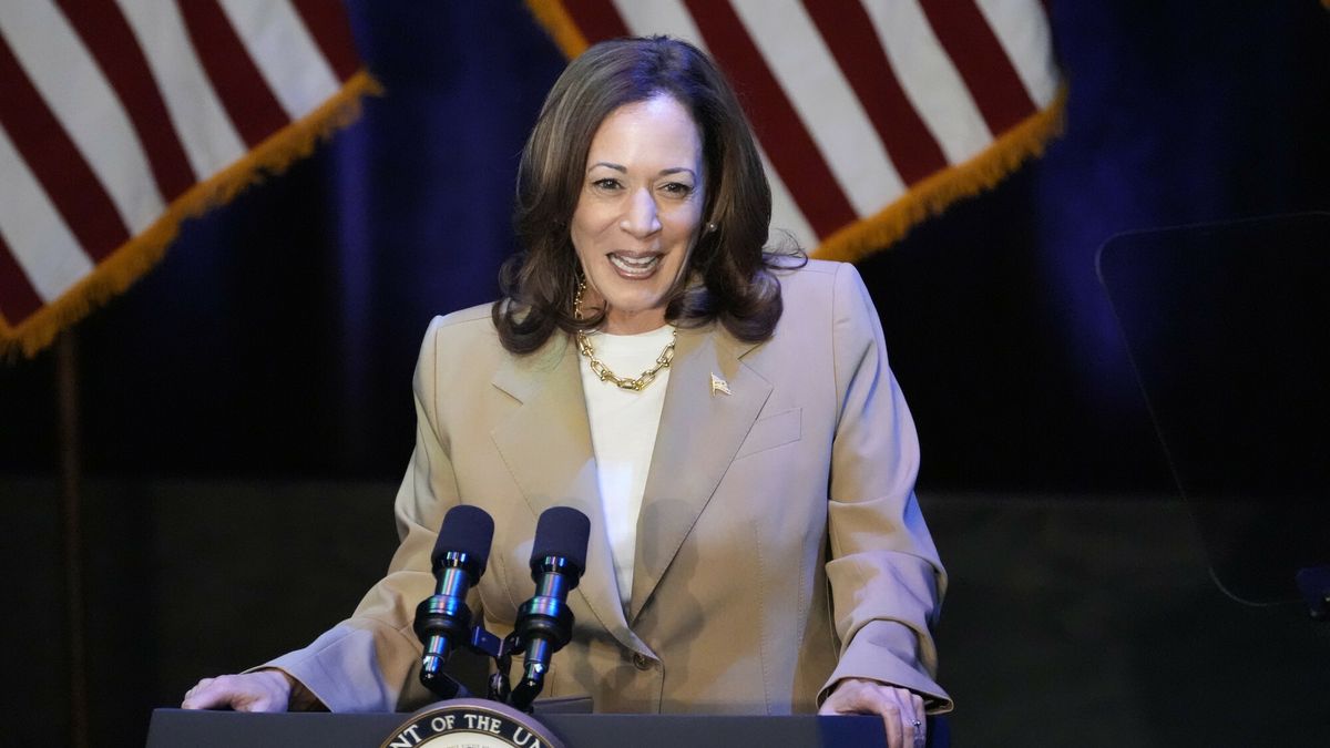 Kampania prezydencka Kamali Harris
Vice President Kamala Harris delivers remarks at a campaign event in Pittsfield, Mass., Saturday, July 27, 2024. (AP Photo/Stephanie Scarbrough)
Stephanie Scarbrough
