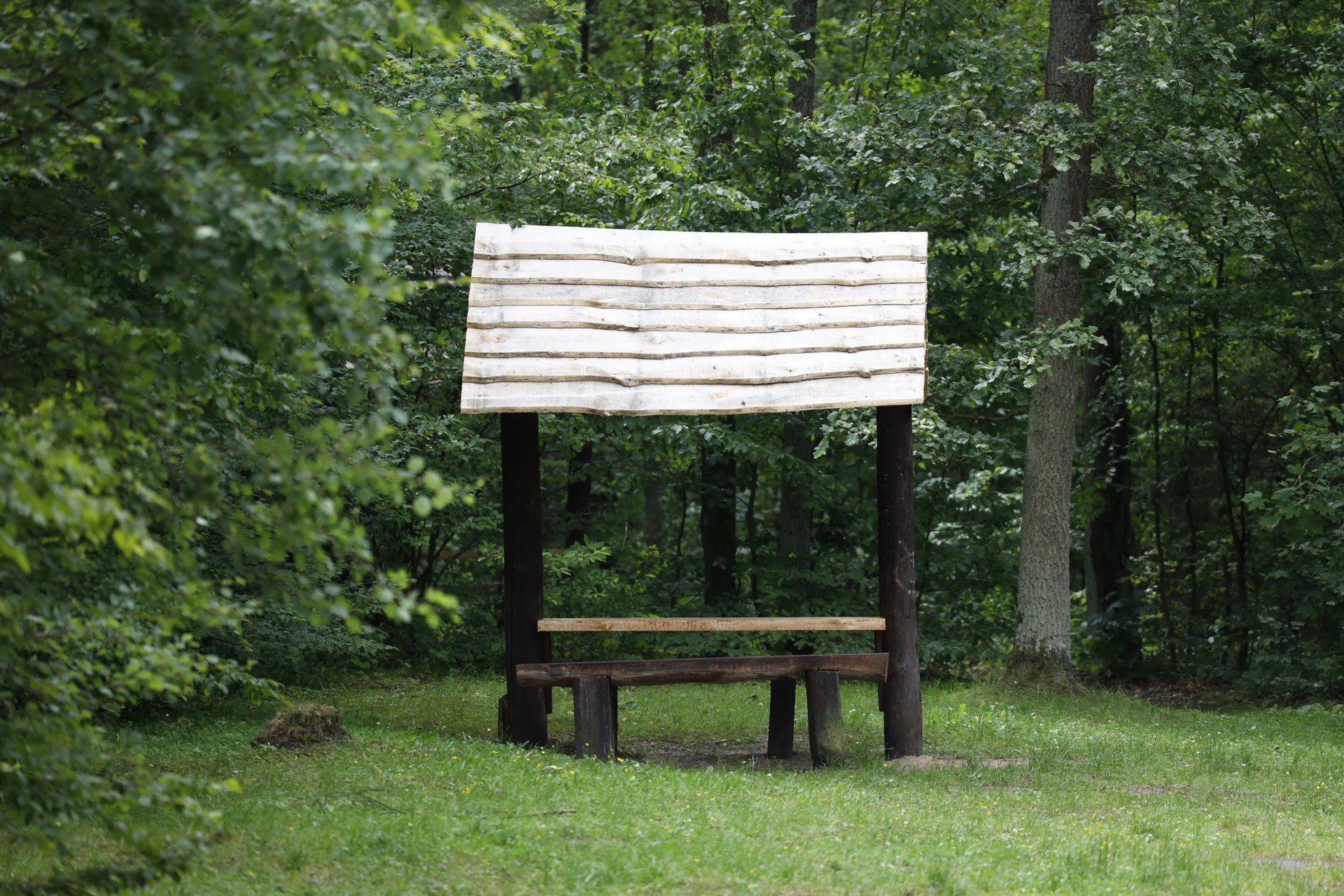 Rezerwat Przyrody &#34;Parkowe&#34;
