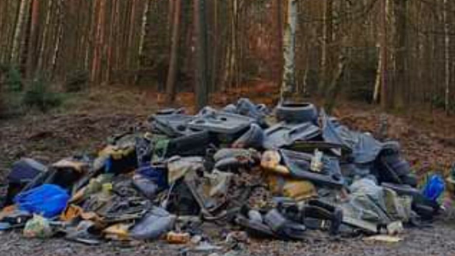Nadleśnictwo Bolesławiec. Las to nie śmietnik, trzeba ukrócić wywożenie do niego odpadów (Nadleśnictwo Bolesławiec)