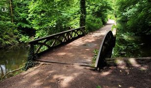 Koronawirus w Polsce. Kara 10 tys. zł za spacer z psem po parku uchylona