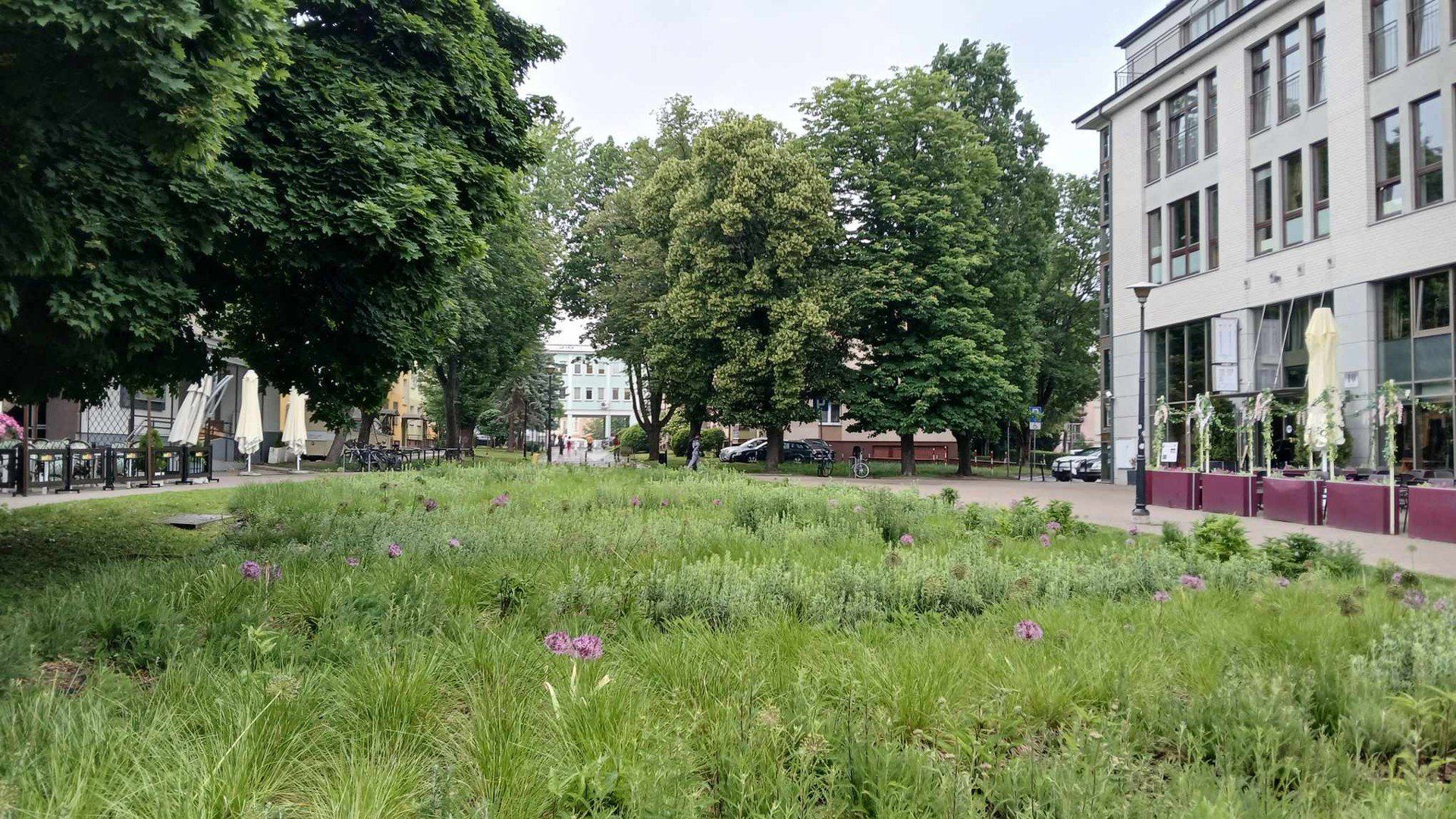 Patronem skweru przy Legionowej miałby zostać Józef Bartoszko. 