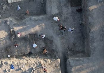 Przewrócone drzewo odkryło tajemnicę. Archeolodzy byli zaskoczeni