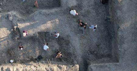 Przewrócone drzewo odkryło tajemnicę. Archeolodzy byli zaskoczeni