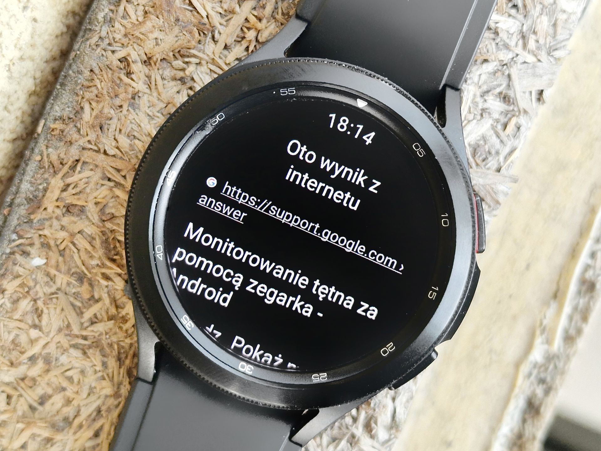 Miał nie działać, a działa. Rozmawiam z Samsungiem Galaxy Watch 4 po polsku 4