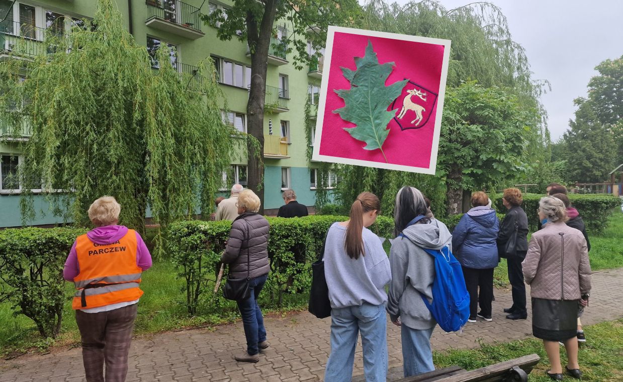 Na drzewie niektórzy zobaczyli świętą postać. Teraz ktoś wpadł na pomysł, żeby wystawić na sprzedaż liść ze "świętego drzewa"