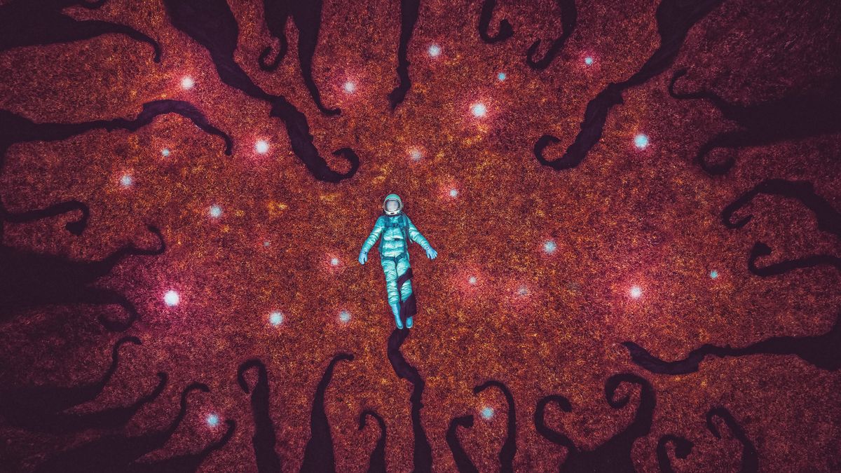 Karen Jerzyk zrobiła baśniowe portrety dronem. Marzenia się spełniają! 1