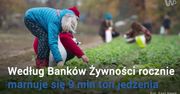 Marnotrawstwo żywności. Tutaj "brzydkie" warzywa kupisz taniej (WIDEO)