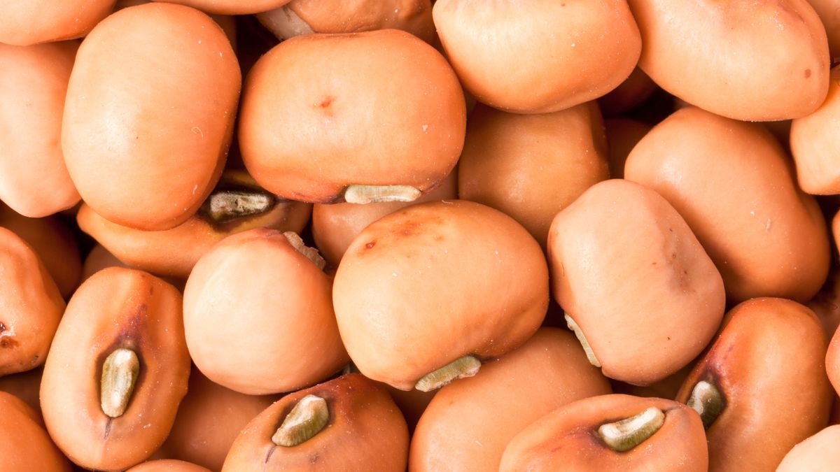 Soja może pogarszać problemy z tarczycą