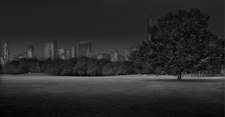 Zobacz opustoszały nowojorski Central Park w projekcie „Deep In a Dream"