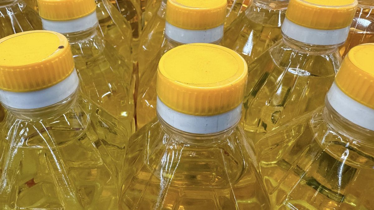 Jak przechowywać olej?