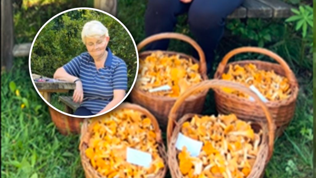 Anna Pigiel pochwaliła się zdobyczami z grzybobrania
