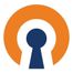 OpenVPN icon