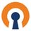 OpenVPN icon