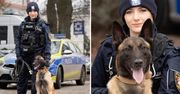 Koszalin: Do policji dołącza pies Ronin, wraz ze swoją nową przewodniczką