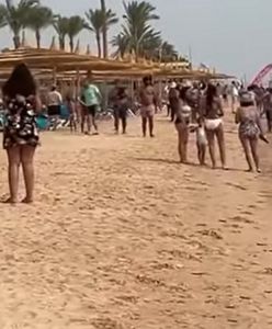 Atak rekina w Egipcie. Kobieta straciła ramię