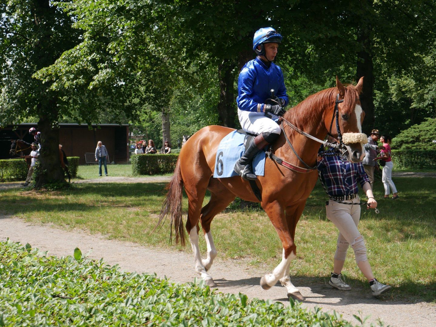 Wyjątkowy Ladies Day na Partynicach już 1.06! Gonitwy, husaria, hobby horse i elegancja w stylu wielkich torów wyścigowych!