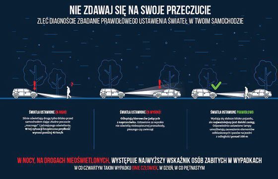Komenda Główna Policji zachęca kierowców do sprawdzenia oświetlenia w autach