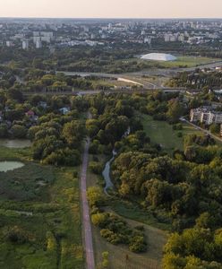 Plaże, hamaki i boiska. Nowa atrakcja w polskim mieście