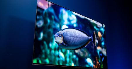 Czy ktoś kupuje telewizory QD-OLED? Znamy wyniki sprzedaży