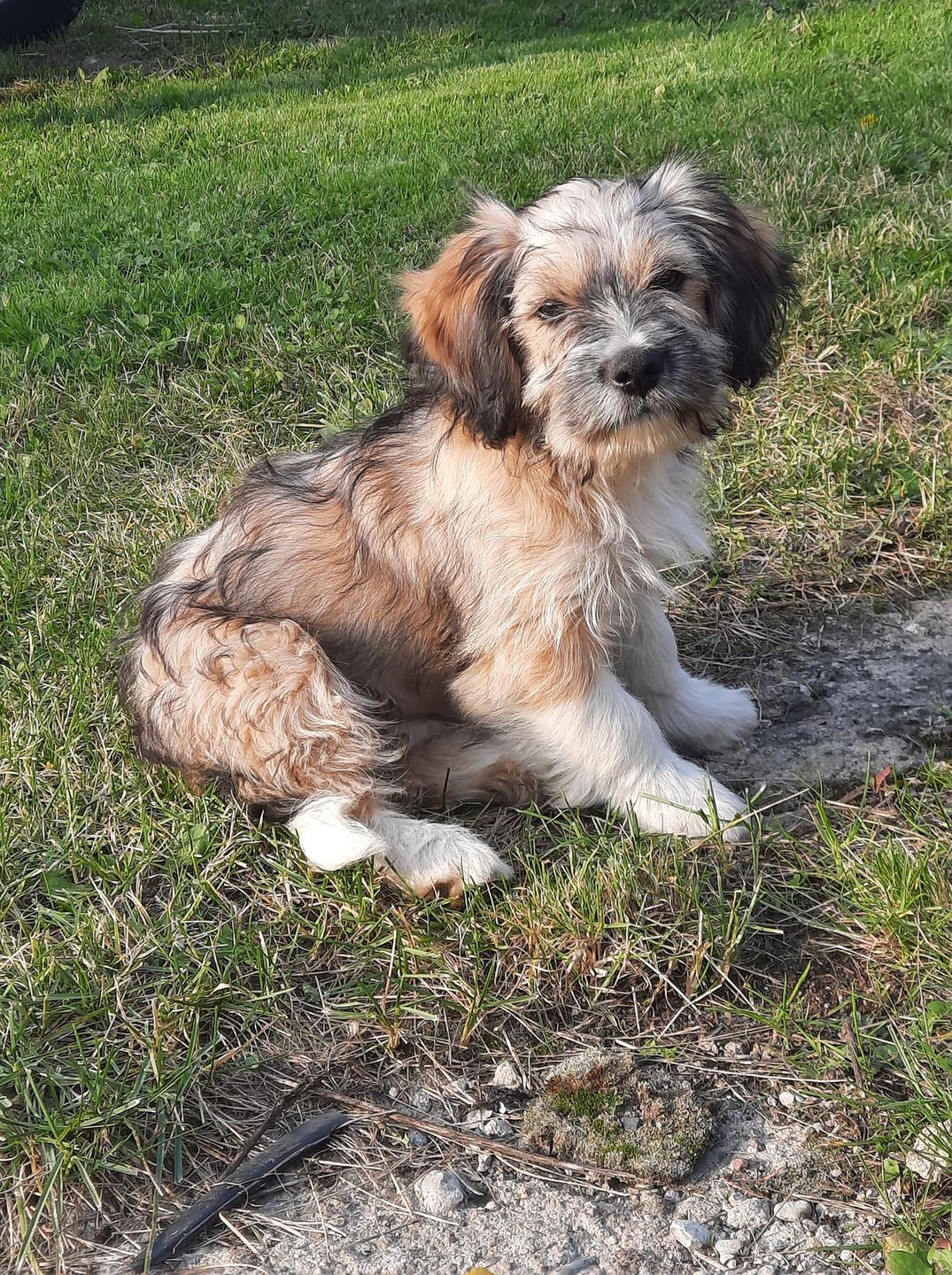 Zdjęcie nadesłała pani Karolina