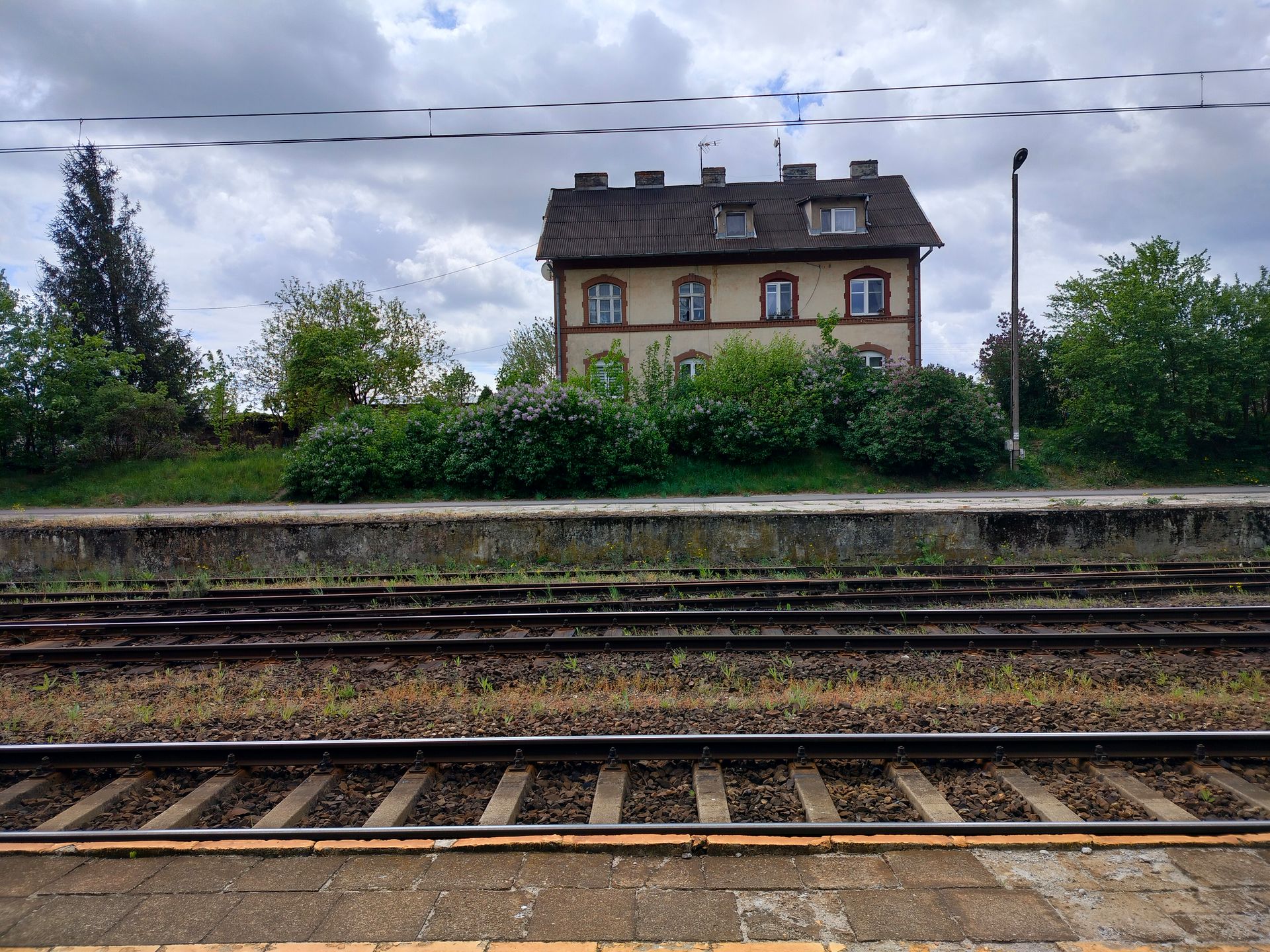 realme 9 to smartfon świetnie wyceniony, ale... nieopłacalny. Już tłumaczę 16