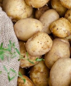 Jak wybrać i przechowywać ziemniaki na zimę?