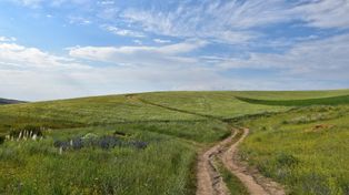 Opalenica: "Kierunek: Wielkopolska". Spotkanie podróżnicze z Marcinem Krawczykiem