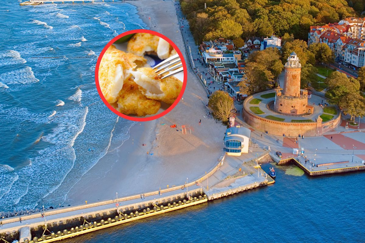 Dorsz znów podrożał. Teraz 100 gramów kosztuje 20 zł.