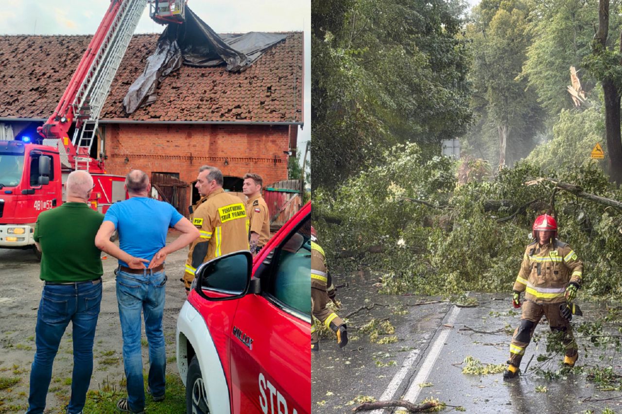600 hektarów upraw. Dramat. Rolnicy liczą ogromne straty