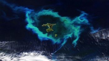 Z kosmosu widać świetlisty krąg koło Nowej Zelandii. Skrywa tajemnicę