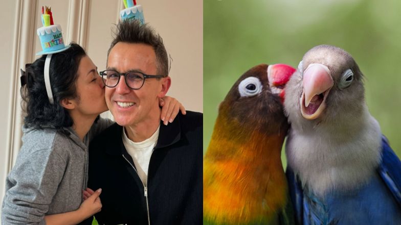  Papużki nierozłączki, które wyglądają jak "Kurzopki"