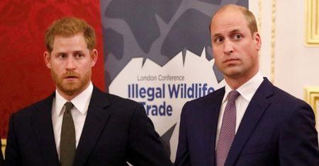 Konflikt Williama i Harry'ego stał się inspiracją do KSIĄŻKI! "Problemy w ich relacjach PORUSZYŁY MNIE DO ŁEZ"