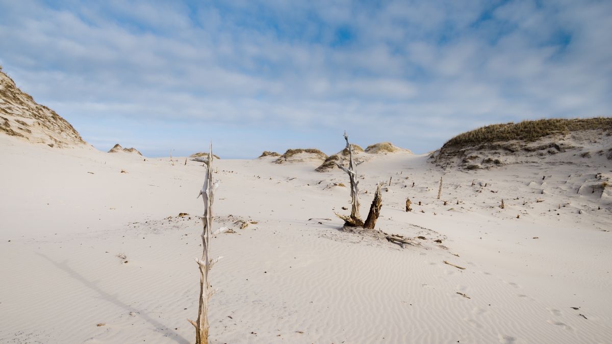 Wydmy w Słowińskim Parku Narodowym