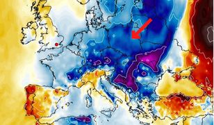 Duża zmiana po weekendzie. Najnowsza prognoza pogody