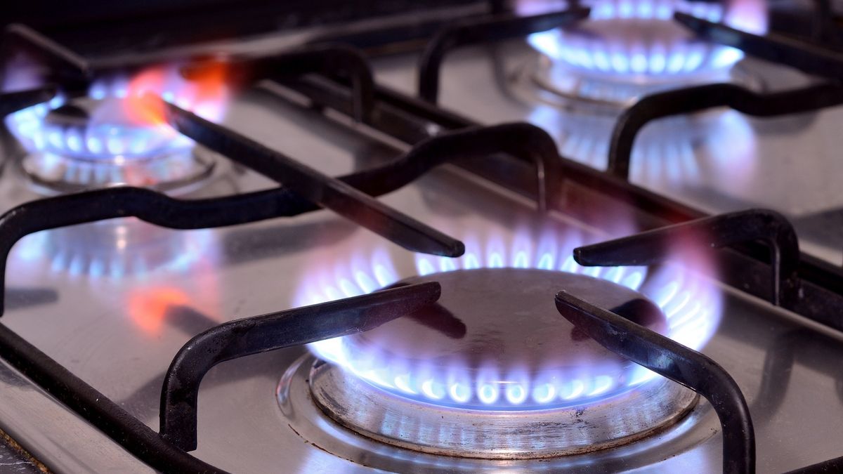 Na zdjęciu kuchenka gazowa. Wszystkie palniki są włączone