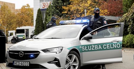 Miliardowe nieprawidłowości. Gigantyczna akcja KAS. Oto co wykryli